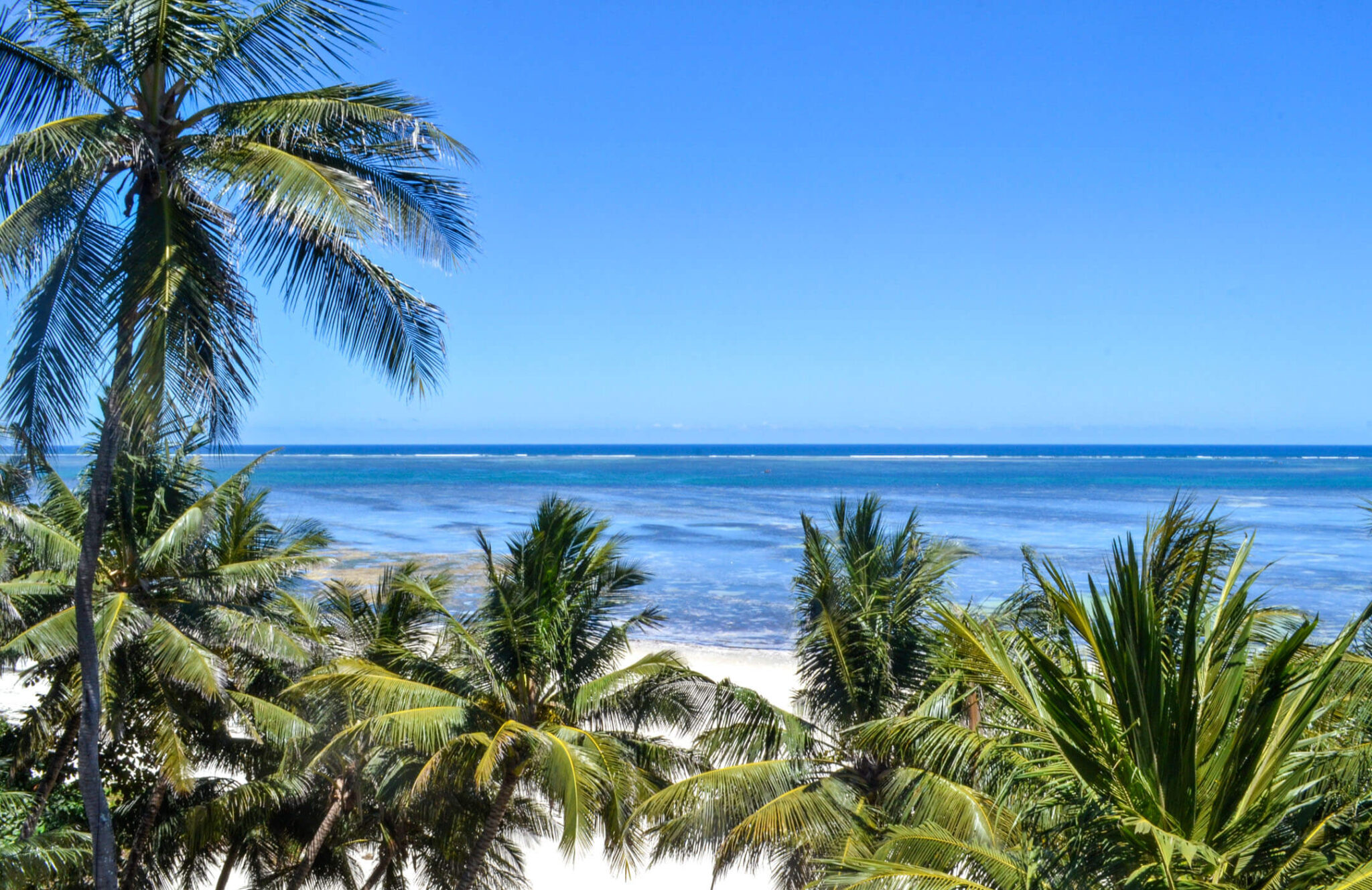  Cowrie Shells Beach Apartments